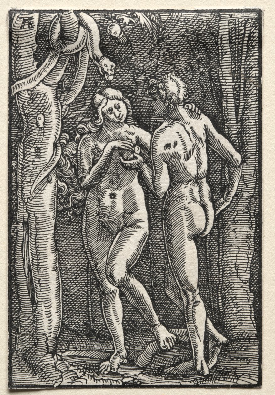 De Val en Verlossing van de Mens: Adam en Eva die de Verboden Vrucht Eten door Albrecht Altdorfer