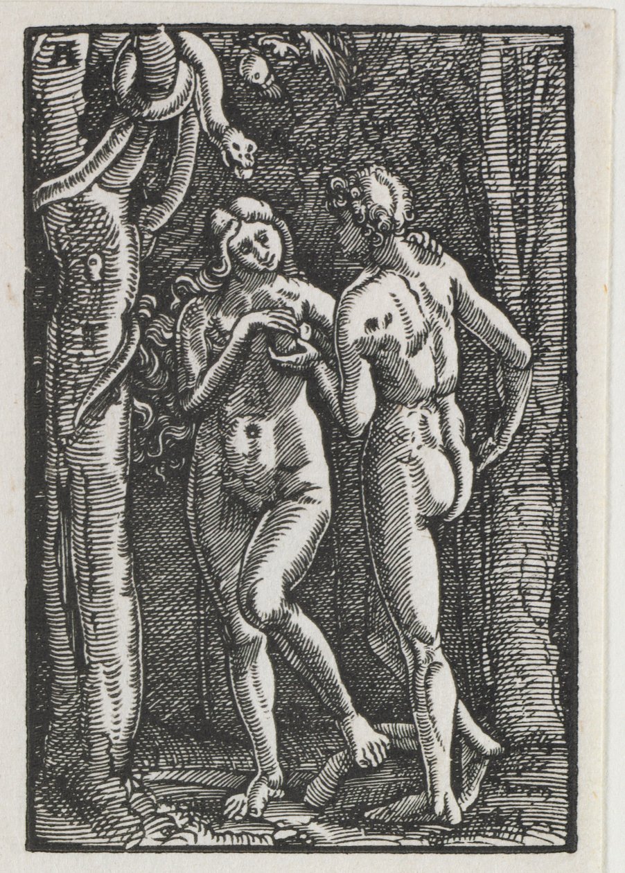 De Val en Verlossing van de Mens: Adam en Eva eten de Verboden Vrucht door Albrecht Altdorfer