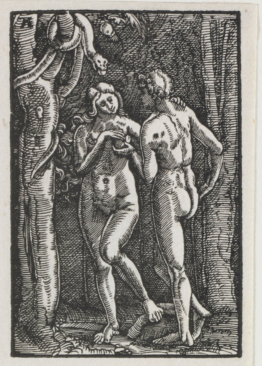 De Val en Verlossing van de Mens: Adam en Eva eten de Verboden Vrucht, ca. 1513 door Albrecht Altdorfer
