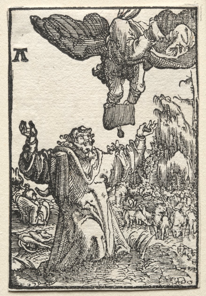 De val en verlossing van de mens: De boodschap van de engel aan Joachim door Albrecht Altdorfer