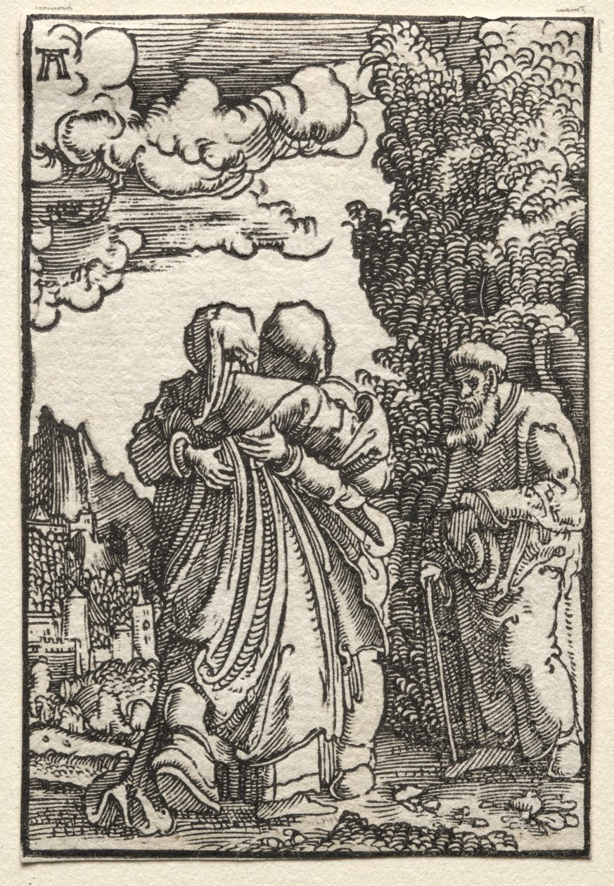De Val en Verlossing van de Mens: De Visitatie door Albrecht Altdorfer