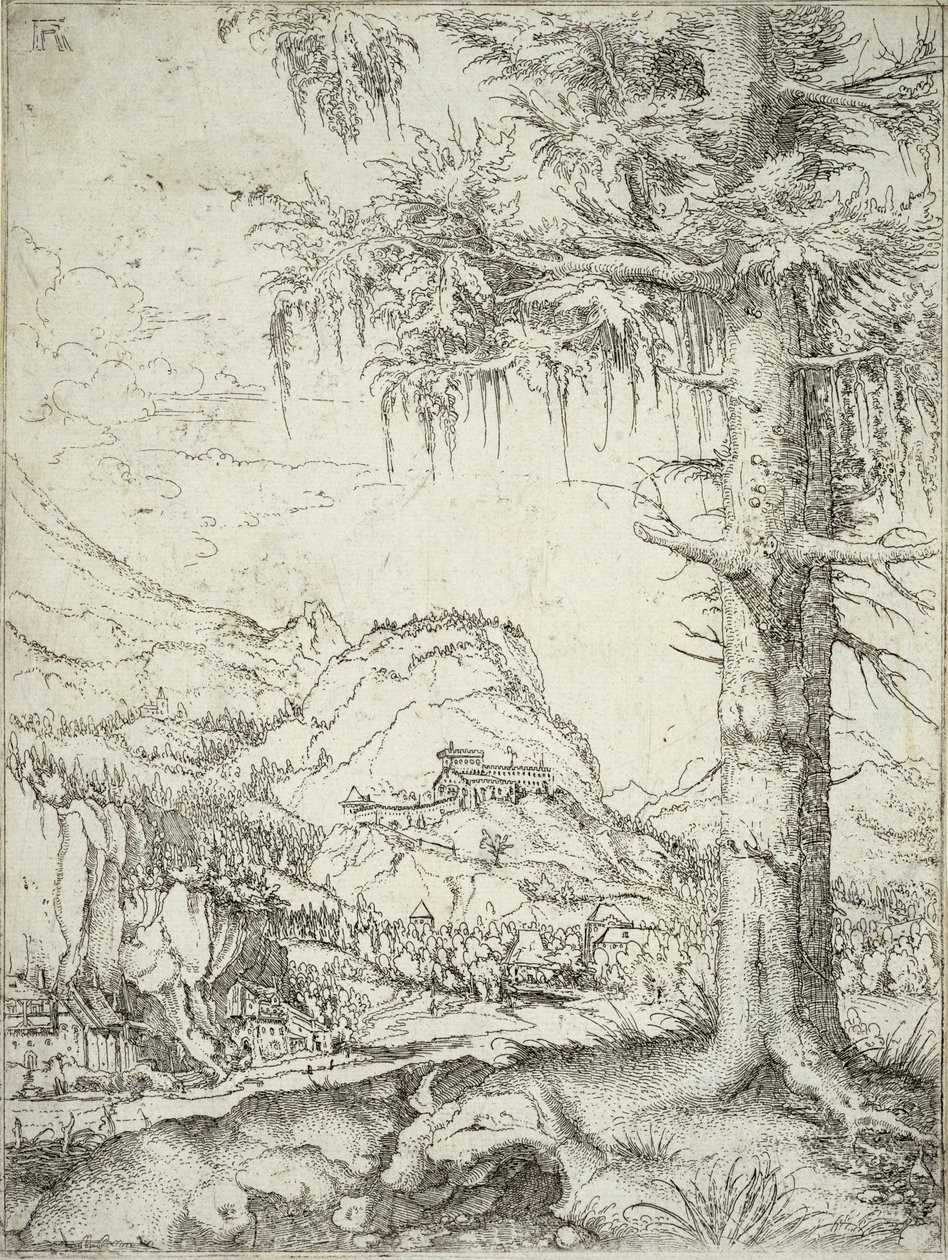 De Grote Spar door Albrecht Altdorfer