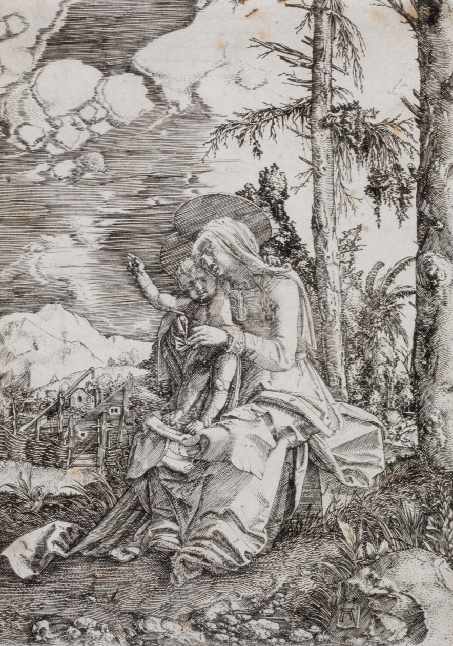 Maria met Kind in een landschap door Albrecht Altdorfer