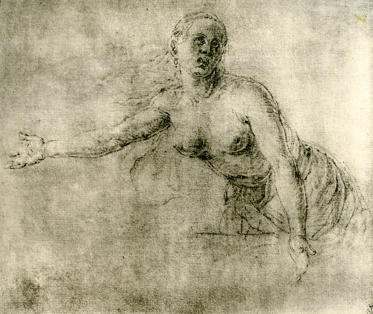 Een studie, 1913 door Albrecht Dürer