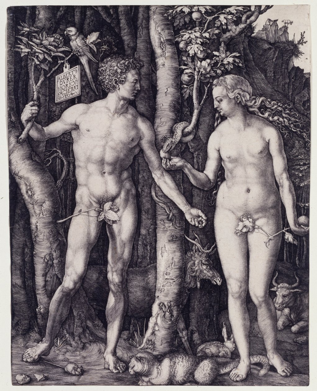 Adam en Eva door Albrecht Dürer