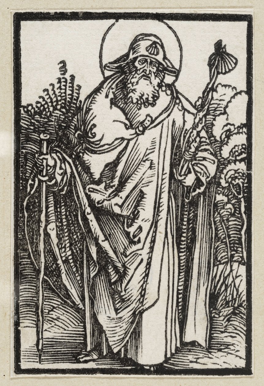Apostel Jakobus de Oudere (63 religieuze taferelen) door Albrecht Dürer