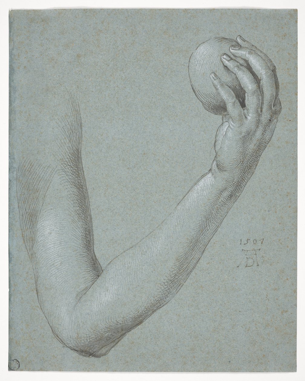 Arm van Eva door Albrecht Dürer