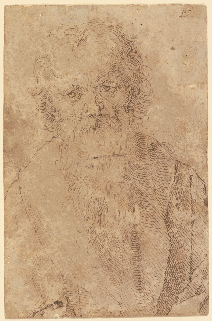 Bebaarde oude man door Albrecht Dürer