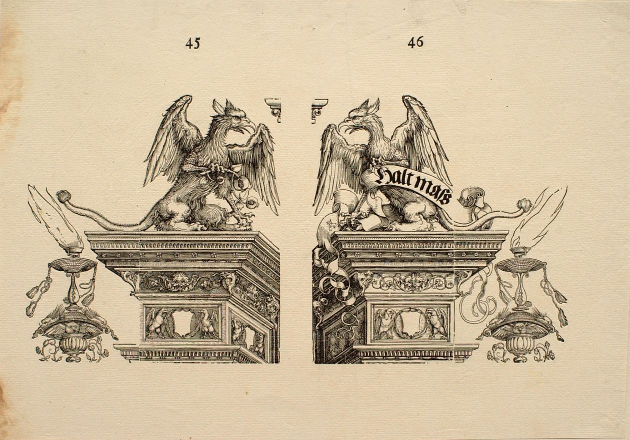 Detail 45 en 46 door Albrecht Dürer