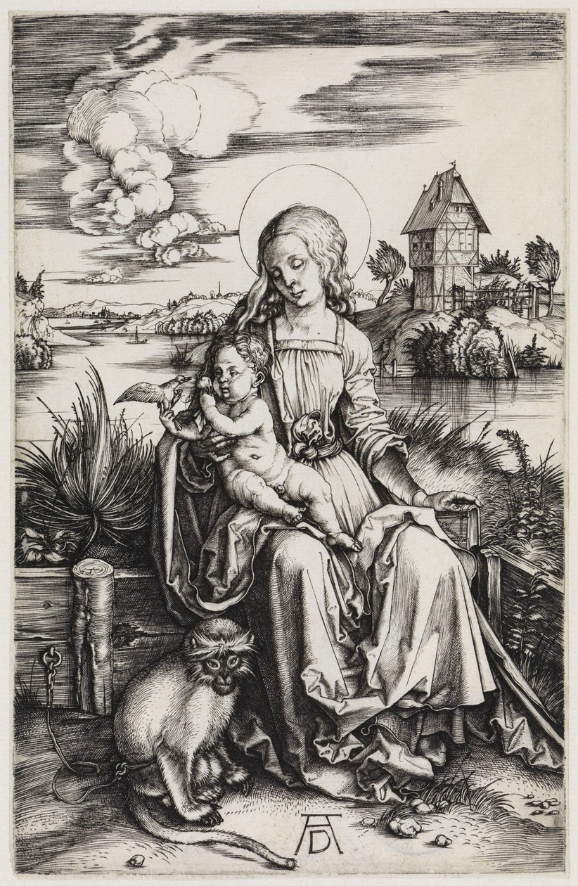 De Madonna met de meerkat door Albrecht Dürer