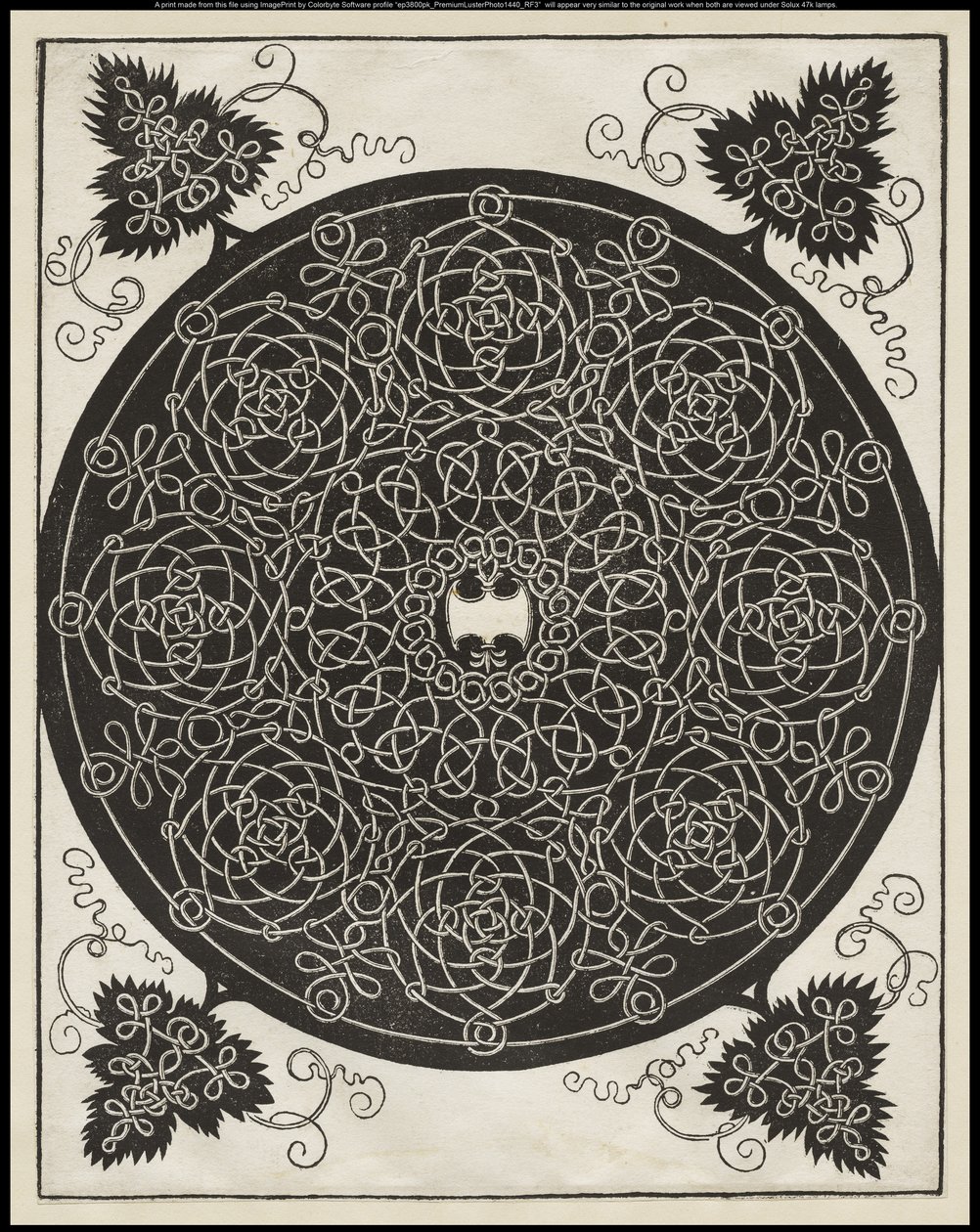 Vijfde knoop, met een wit schild met zes punten in het midden, c.1506 door Albrecht Dürer