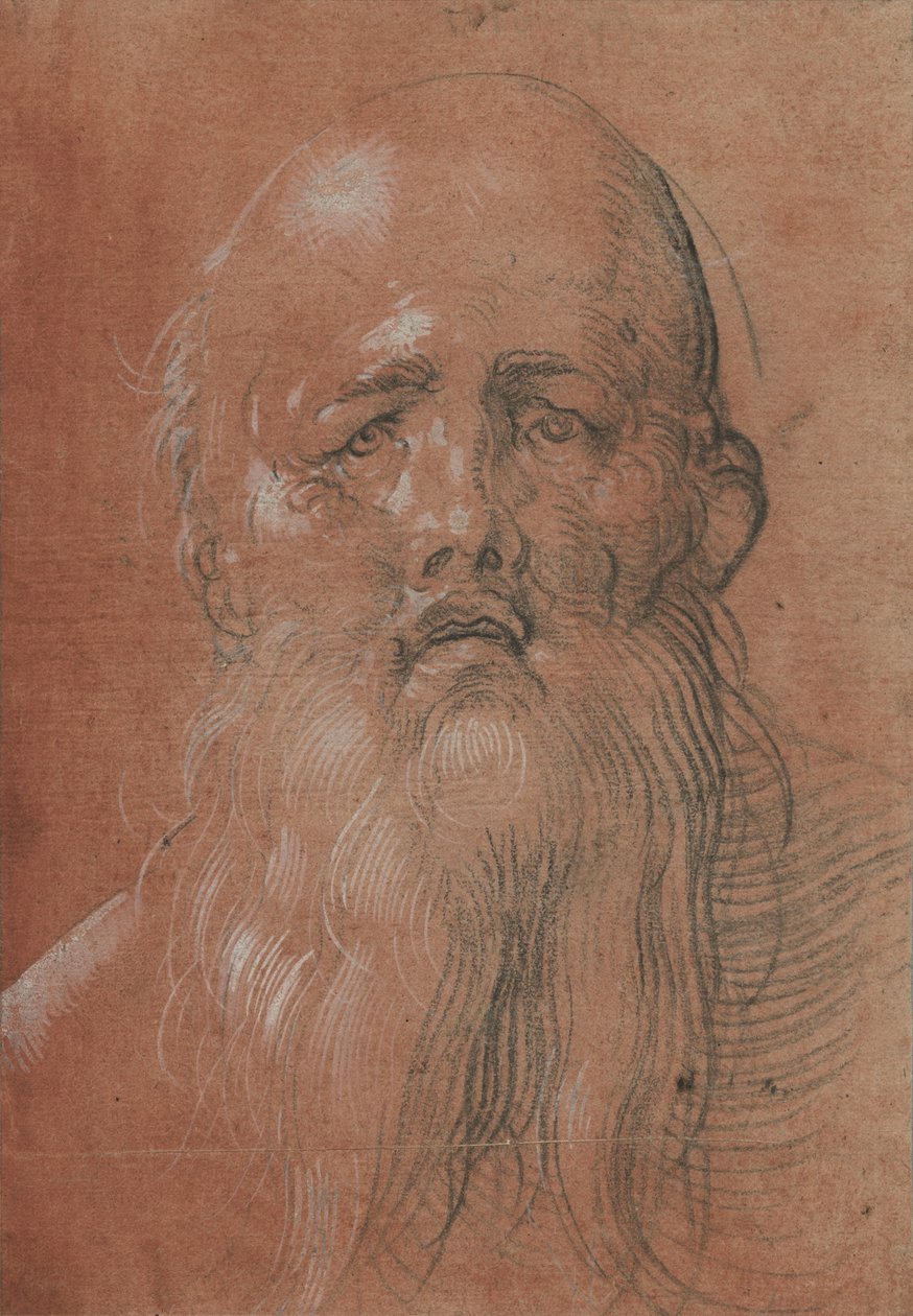 Hoofd van een man met baard door Albrecht Dürer