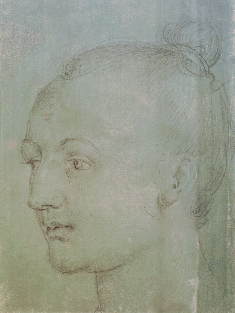 Hoofd van een jonge vrouw door Albrecht Dürer