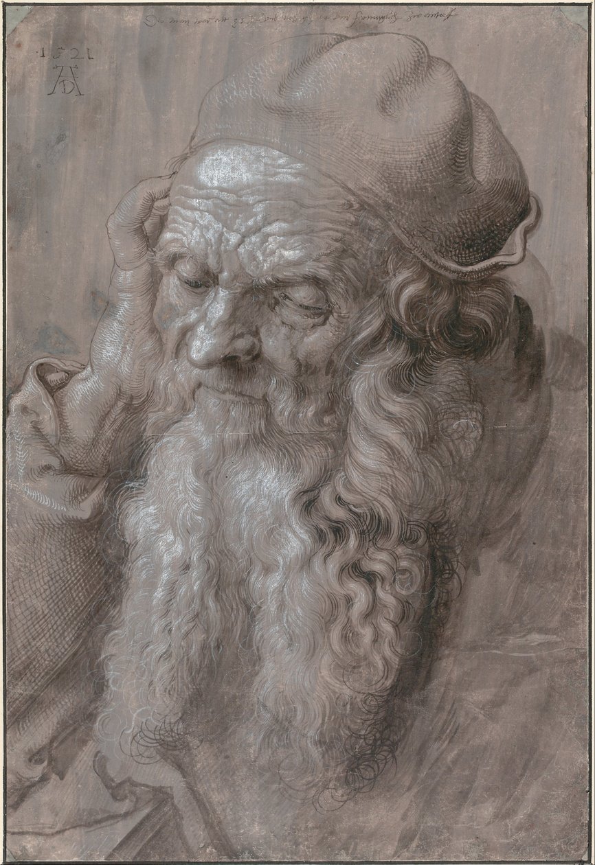 Hoofd van een oude man door Albrecht Dürer