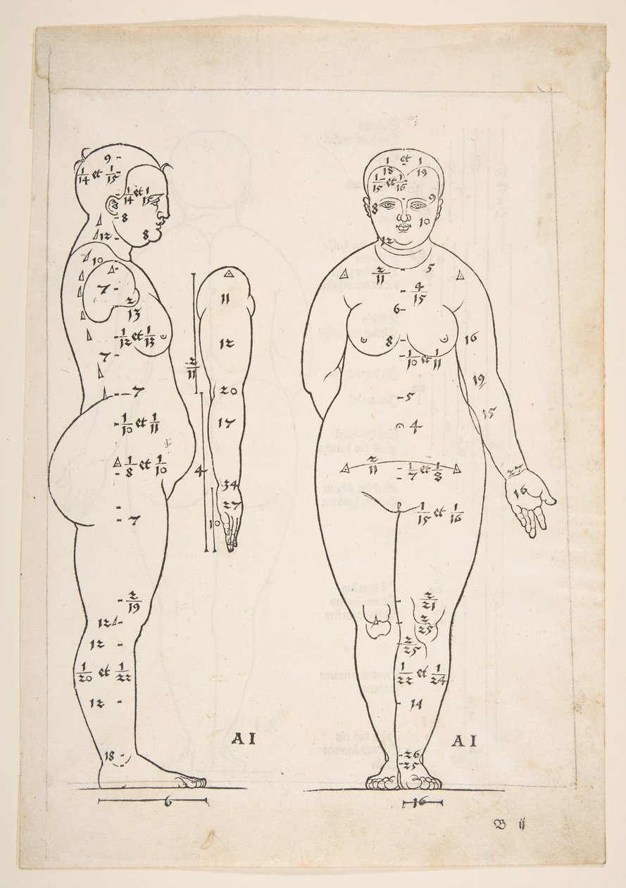 Illustratie uit Dürers Vier Bucher von Menslicher Proportion, Neurenberg, 1528 door Albrecht Dürer