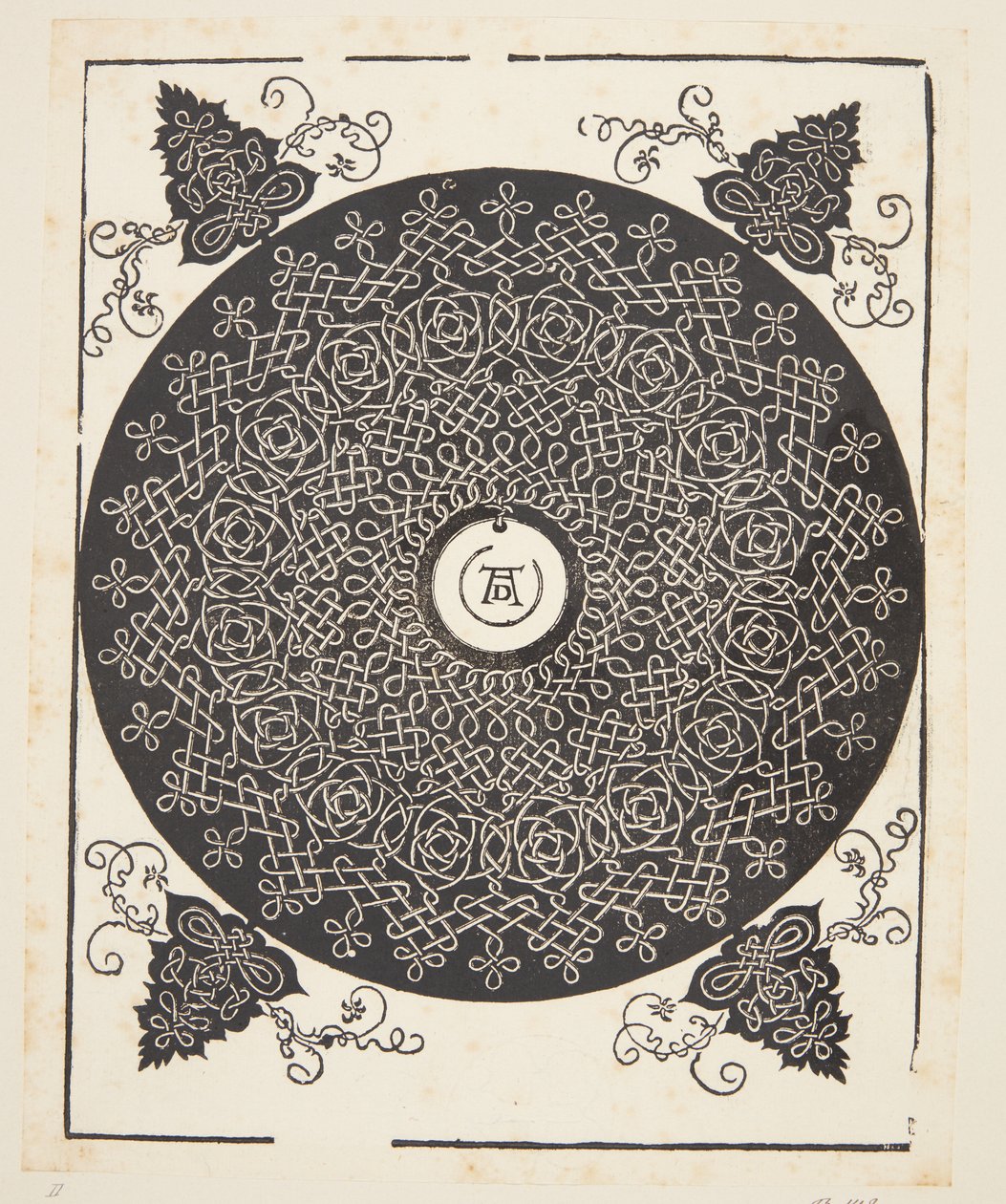 Verstrengeld koordpatroon met witte medaillon door Albrecht Dürer