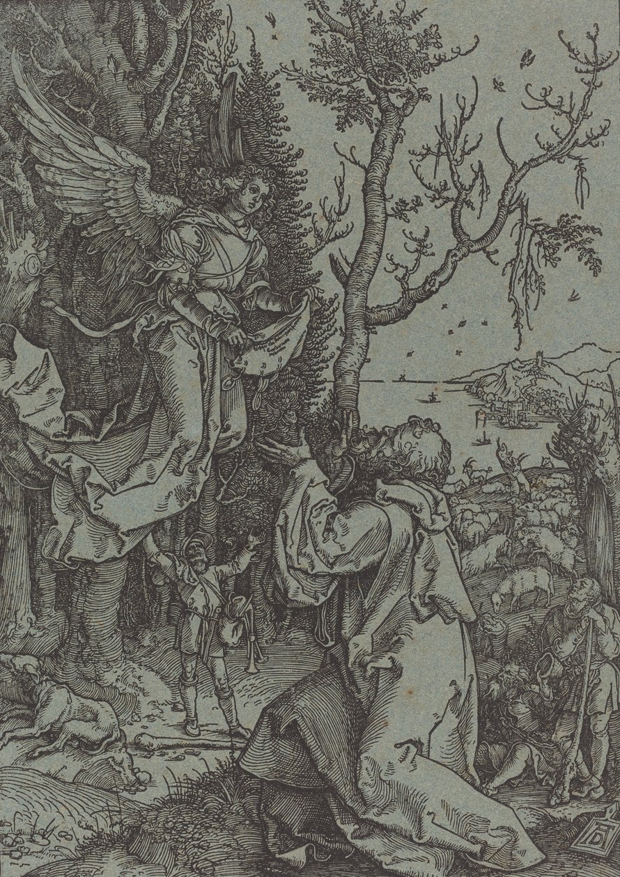 Joachim en de Engel door Albrecht Dürer