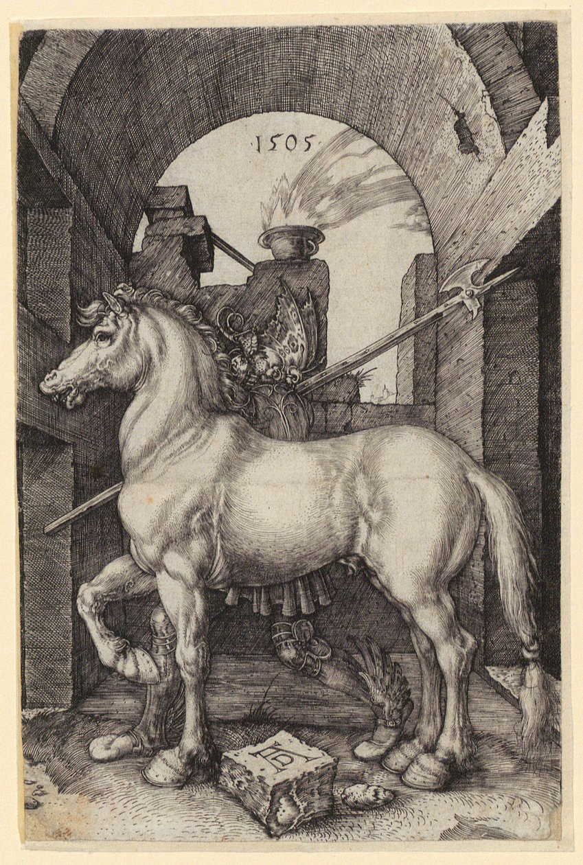 Klein paard door Albrecht Dürer