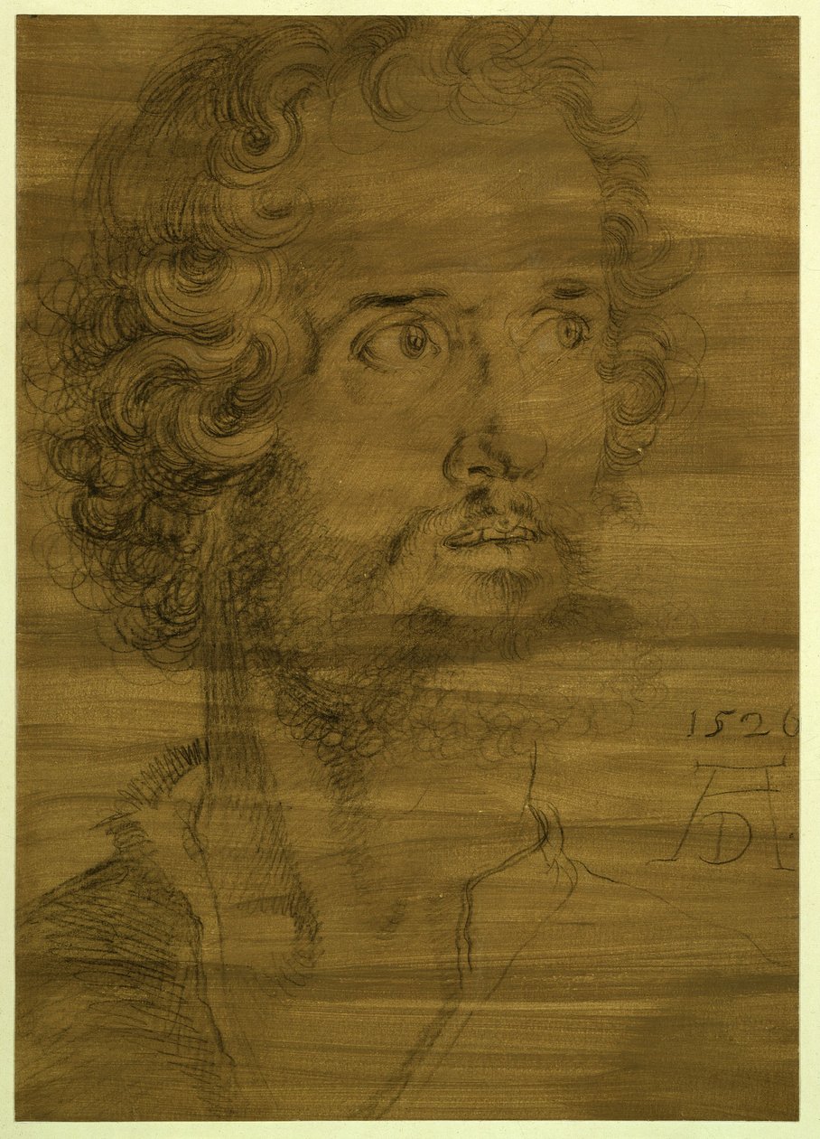 Het hoofd van de evangelist Marcus door Albrecht Dürer