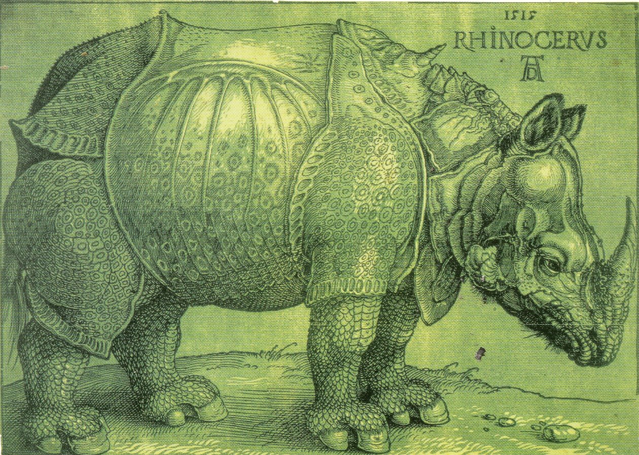 Latijn:  Rhinocerus De neushoorn door Albrecht Dürer