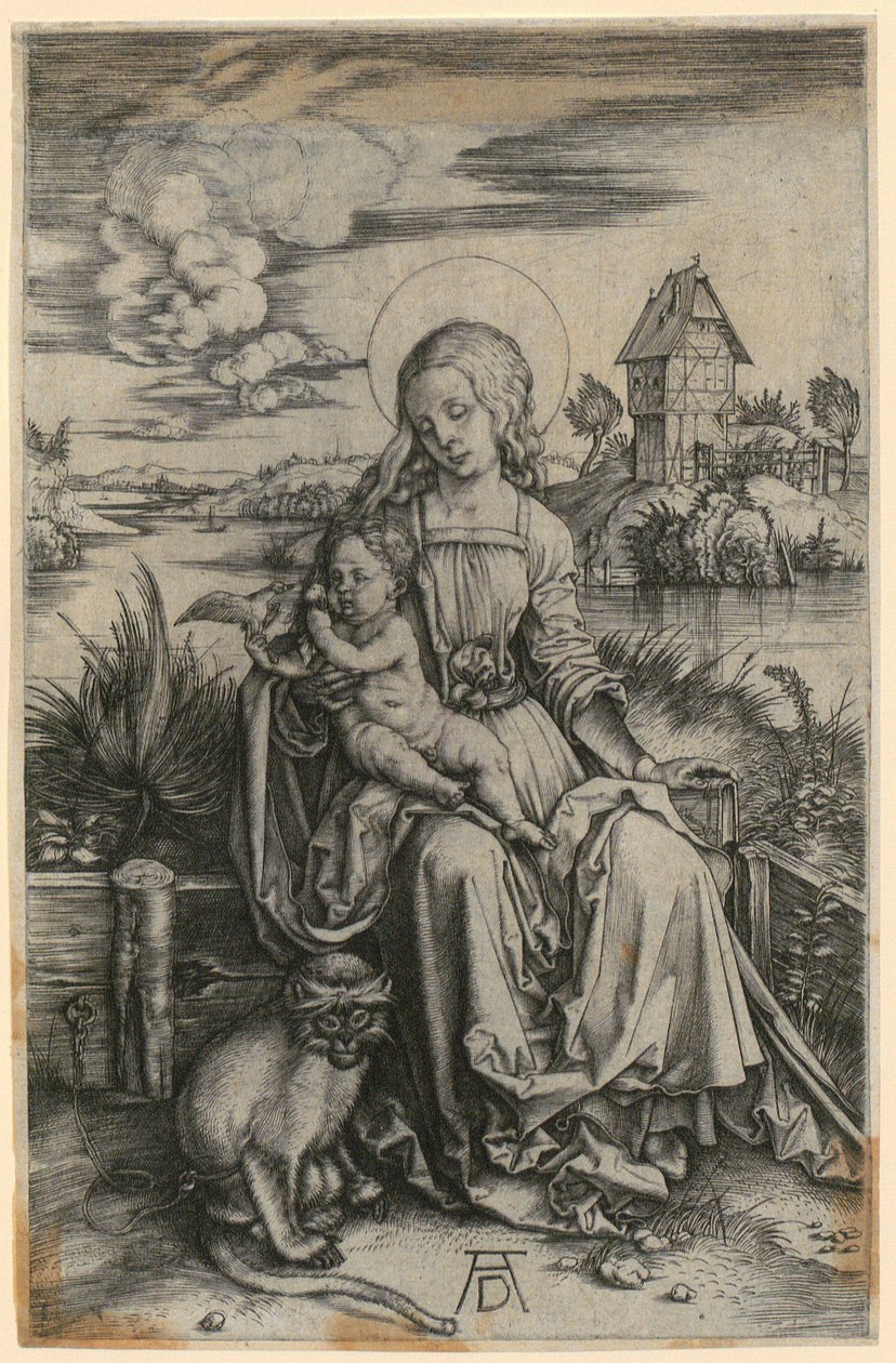 Maria met de meerkat door Albrecht Dürer