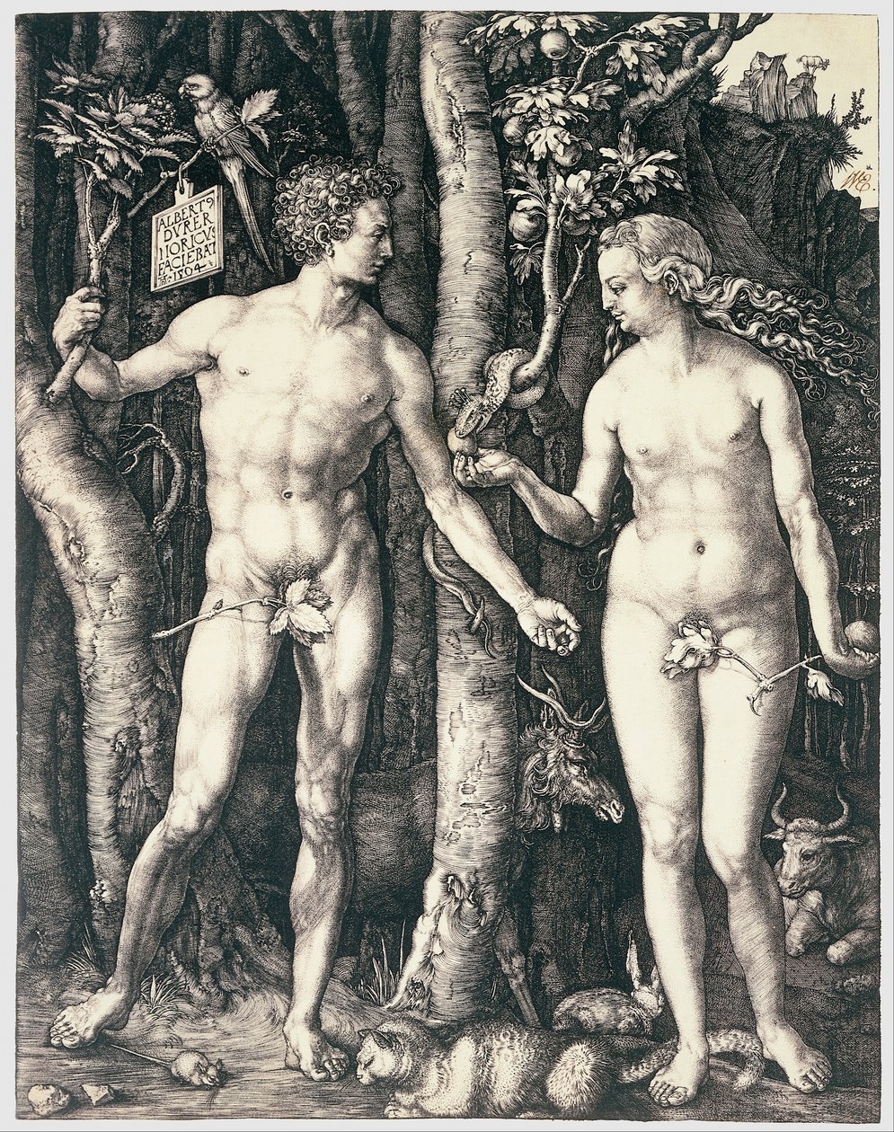 De erfzonde door Albrecht Dürer