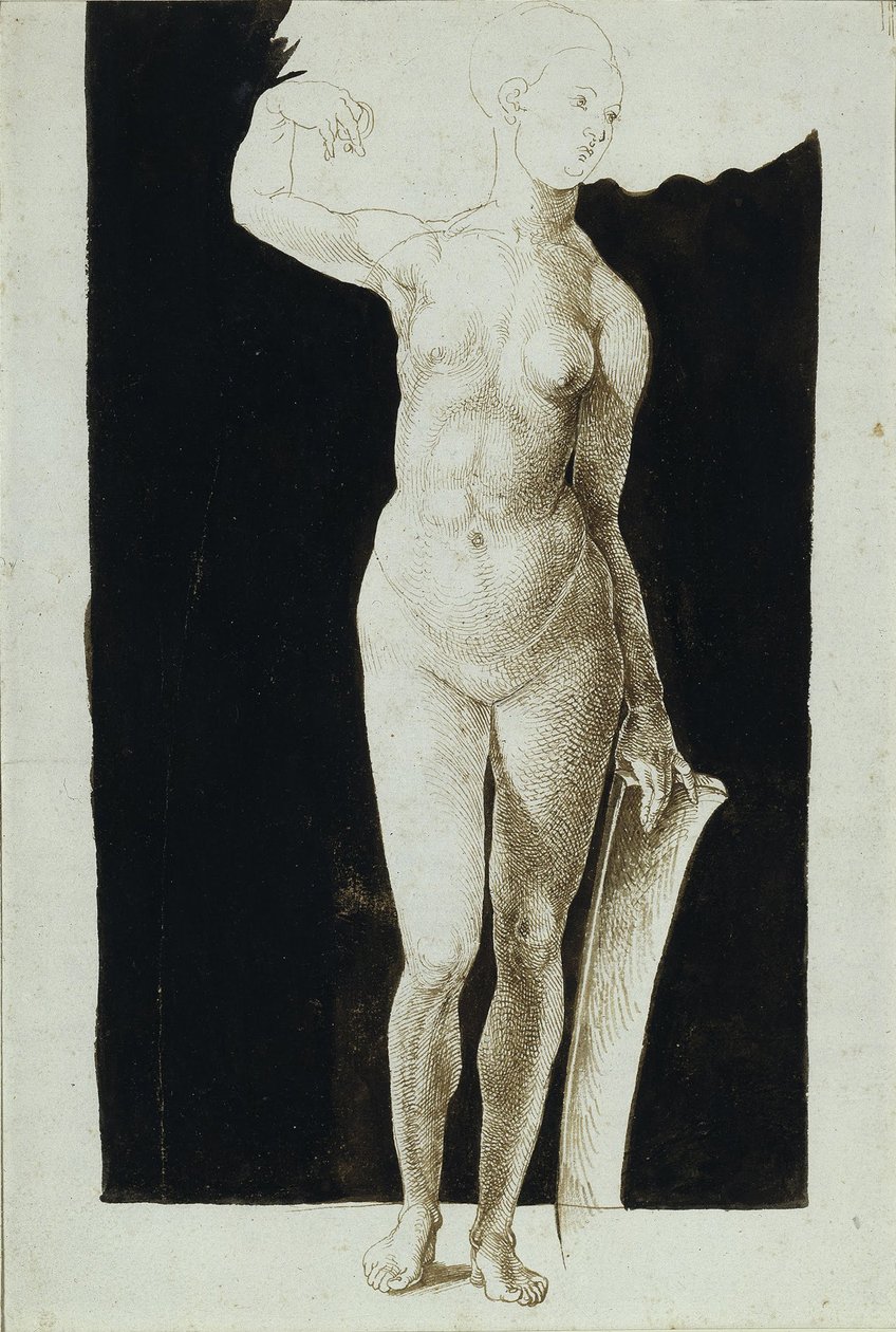 Proportiestudie van vrouwelijke naakt met een schild, 1500 door Albrecht Dürer