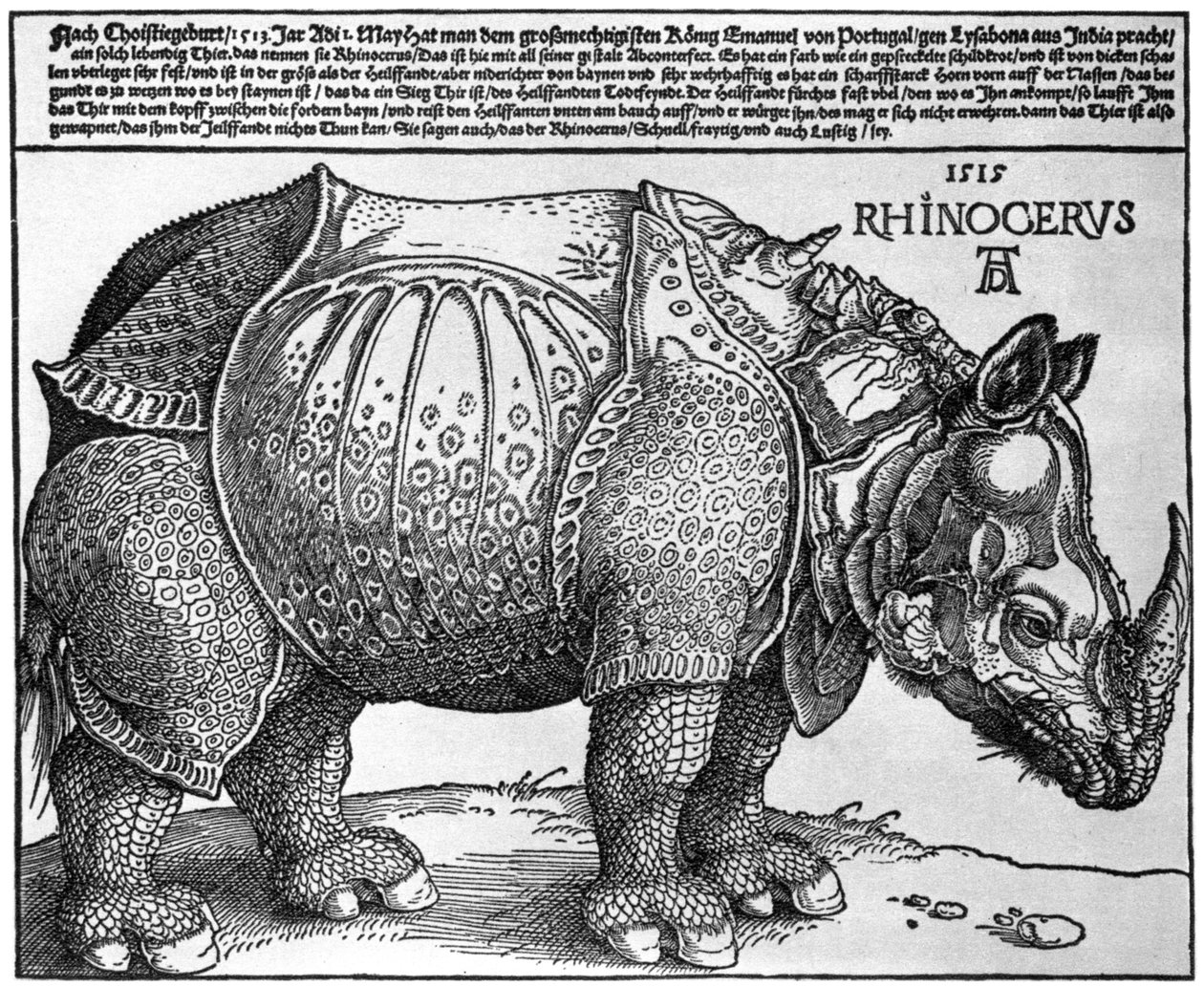 Neushoorn, prent gegeven aan Maximiliaan I door de Koning van Lissabon, 1515, 1936 door Albrecht Dürer