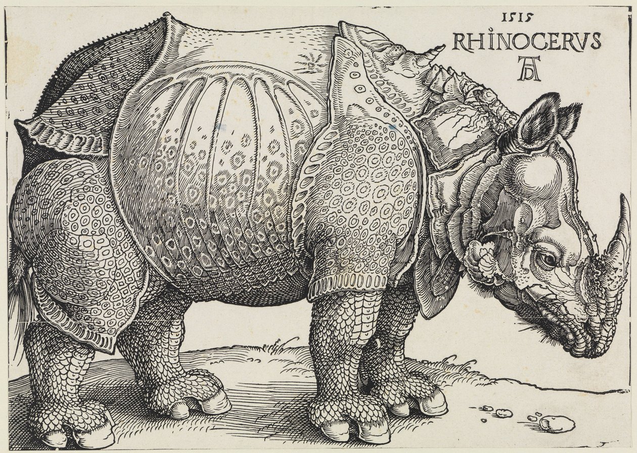 Rhinocerus (De neushoorn) door Albrecht Dürer