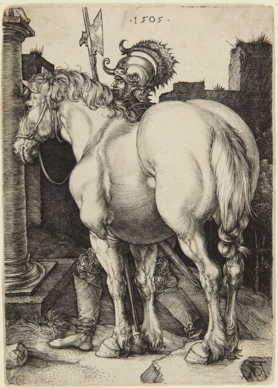 Het grote paard door Albrecht Dürer