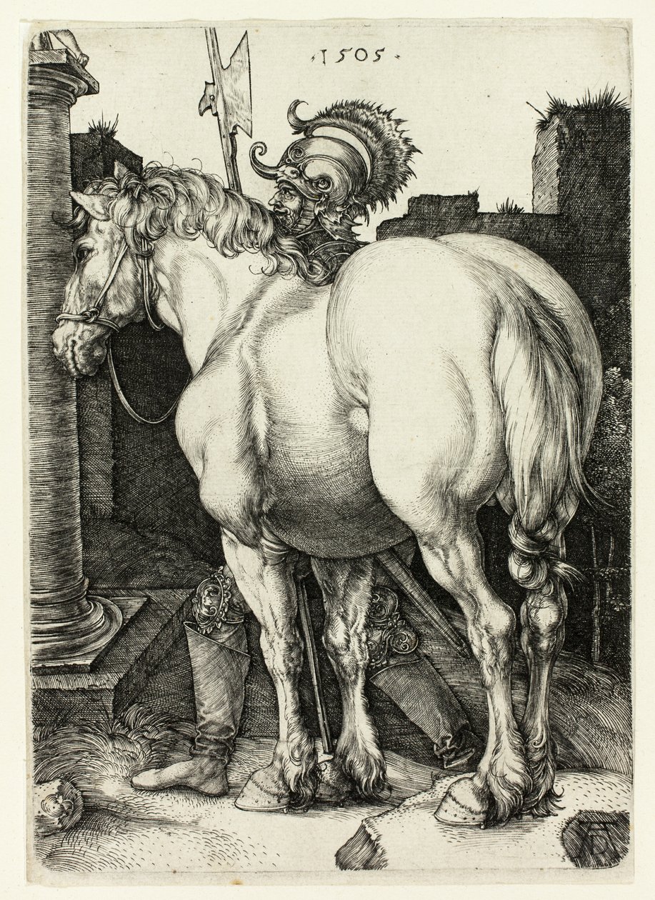 Het Grote Paard door Albrecht Dürer