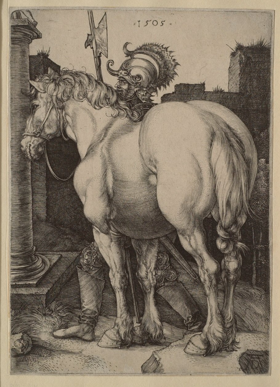 Het grote paard door Albrecht Dürer