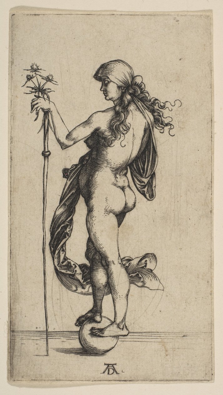 Het kleine fortuin door Albrecht Dürer