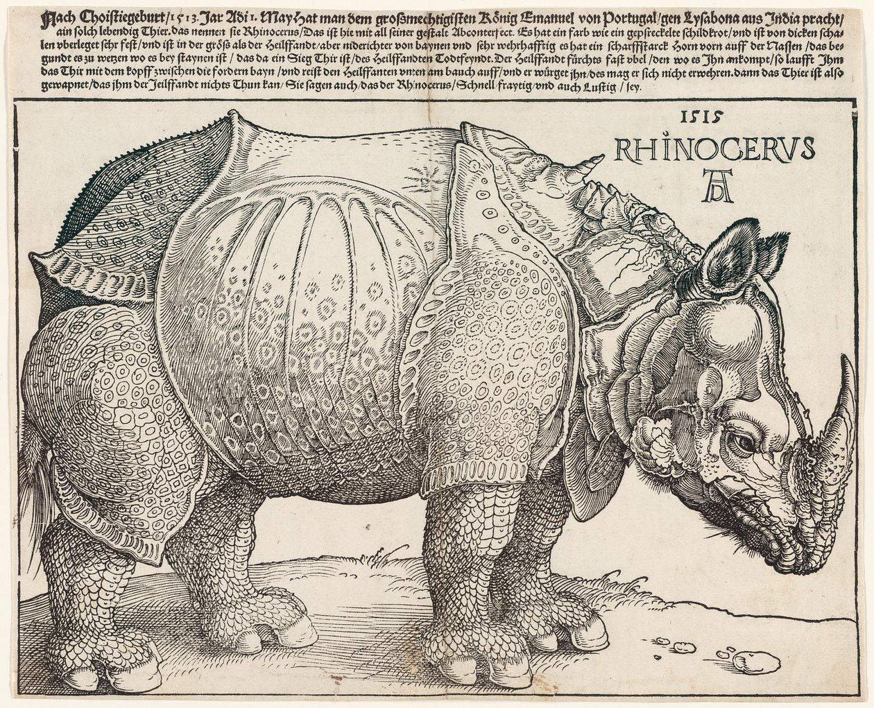 De neushoorn door Albrecht Dürer