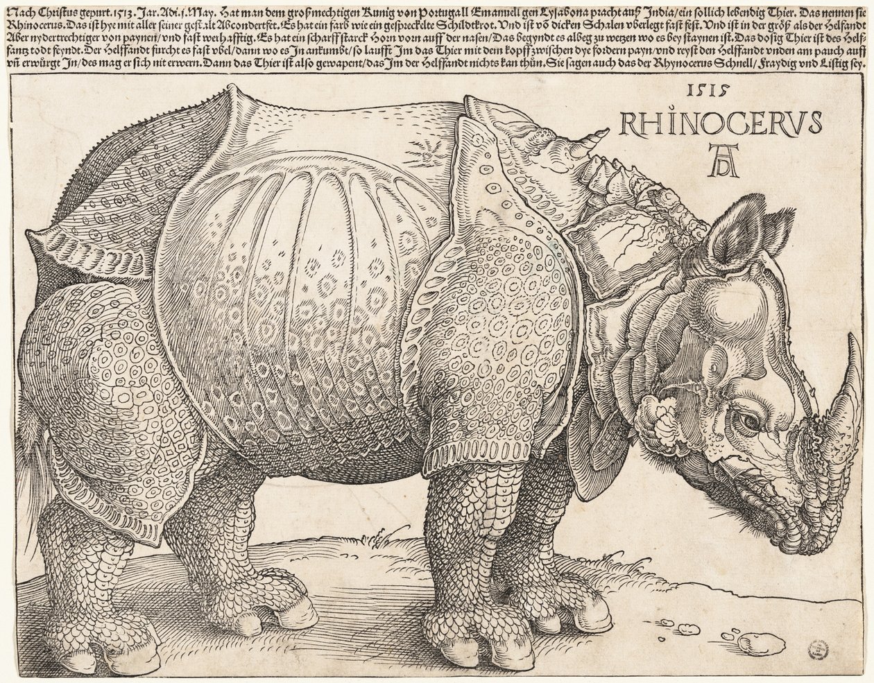 De neushoorn door Albrecht Dürer