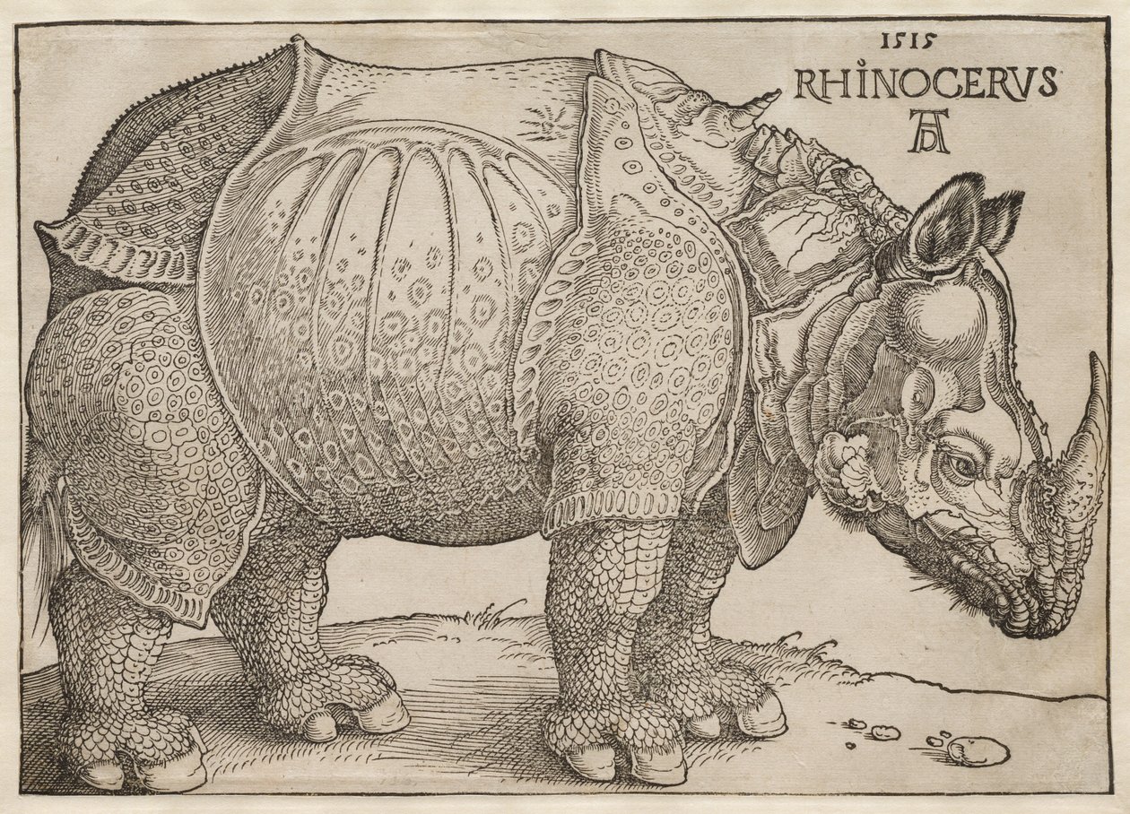 De neushoorn door Albrecht Dürer