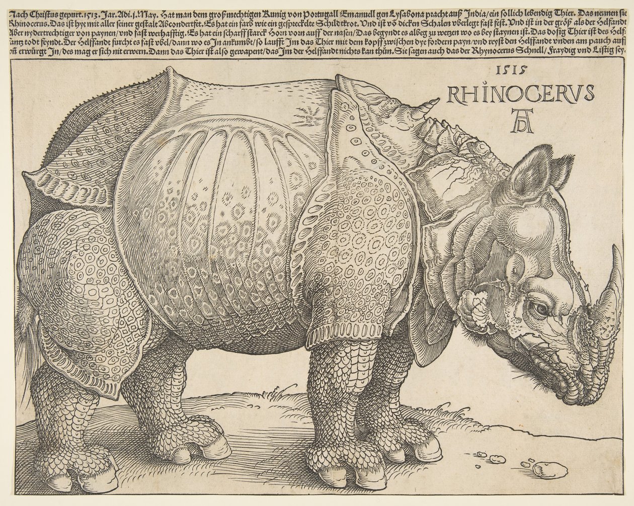 De neushoorn door Albrecht Dürer
