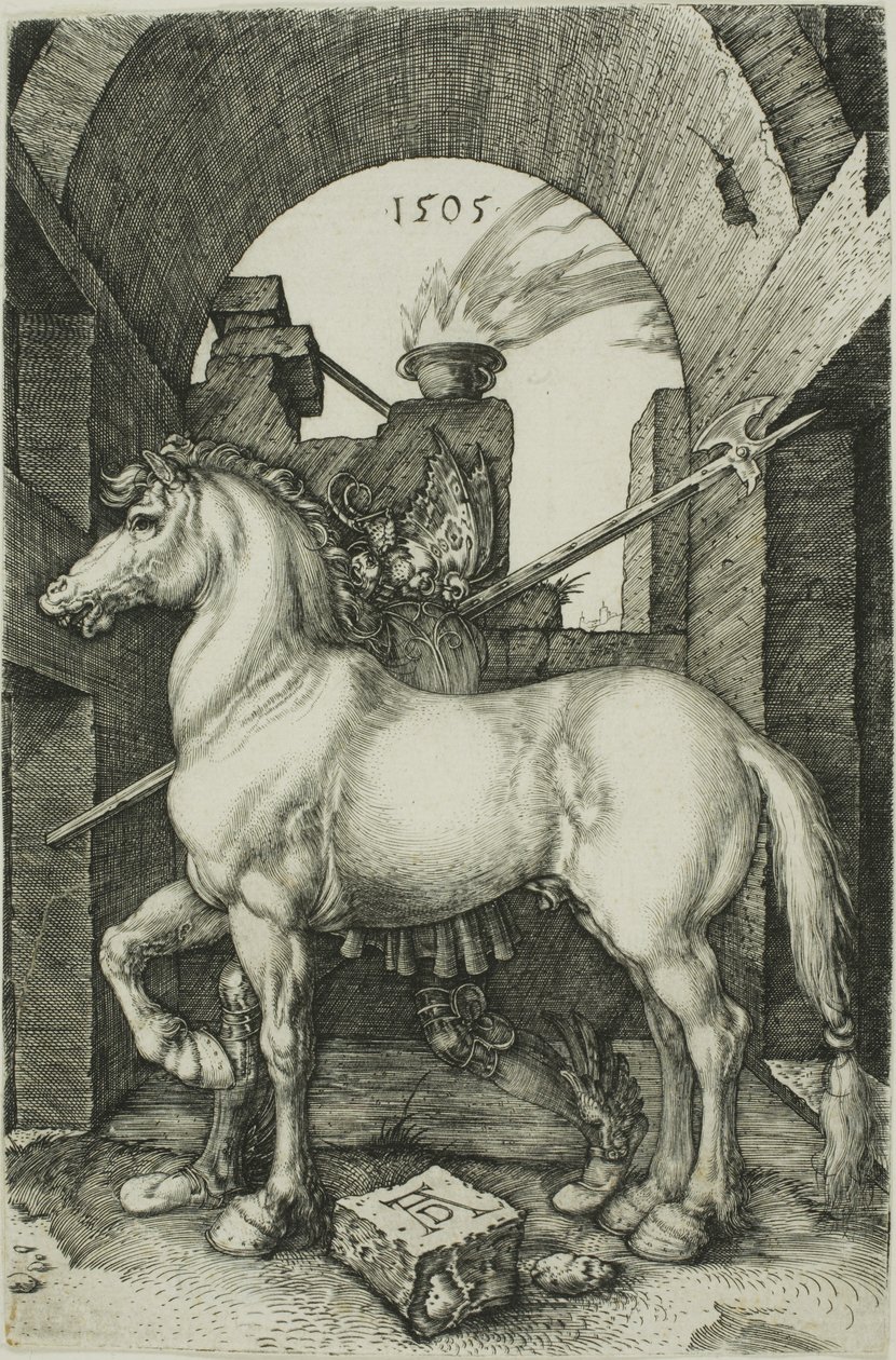 Het kleine paard door Albrecht Dürer