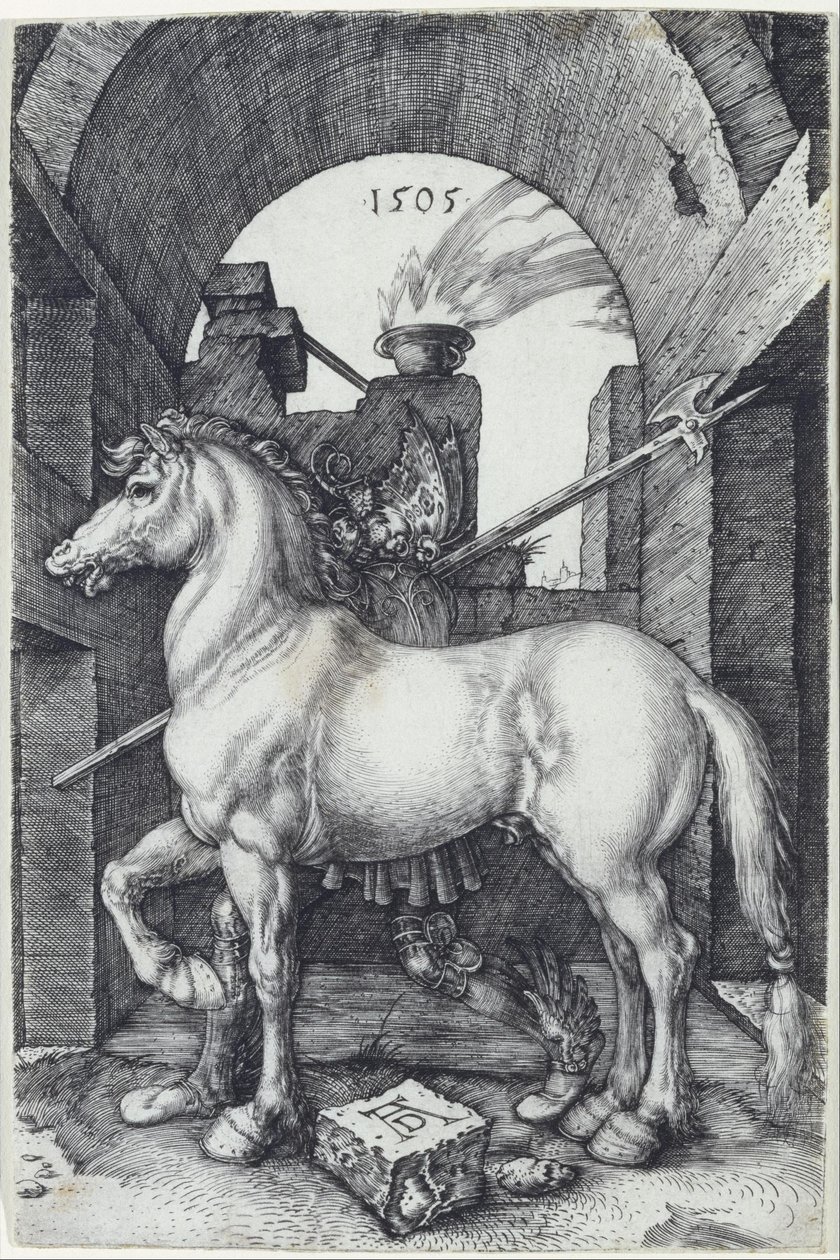 Het kleine paard door Albrecht Dürer
