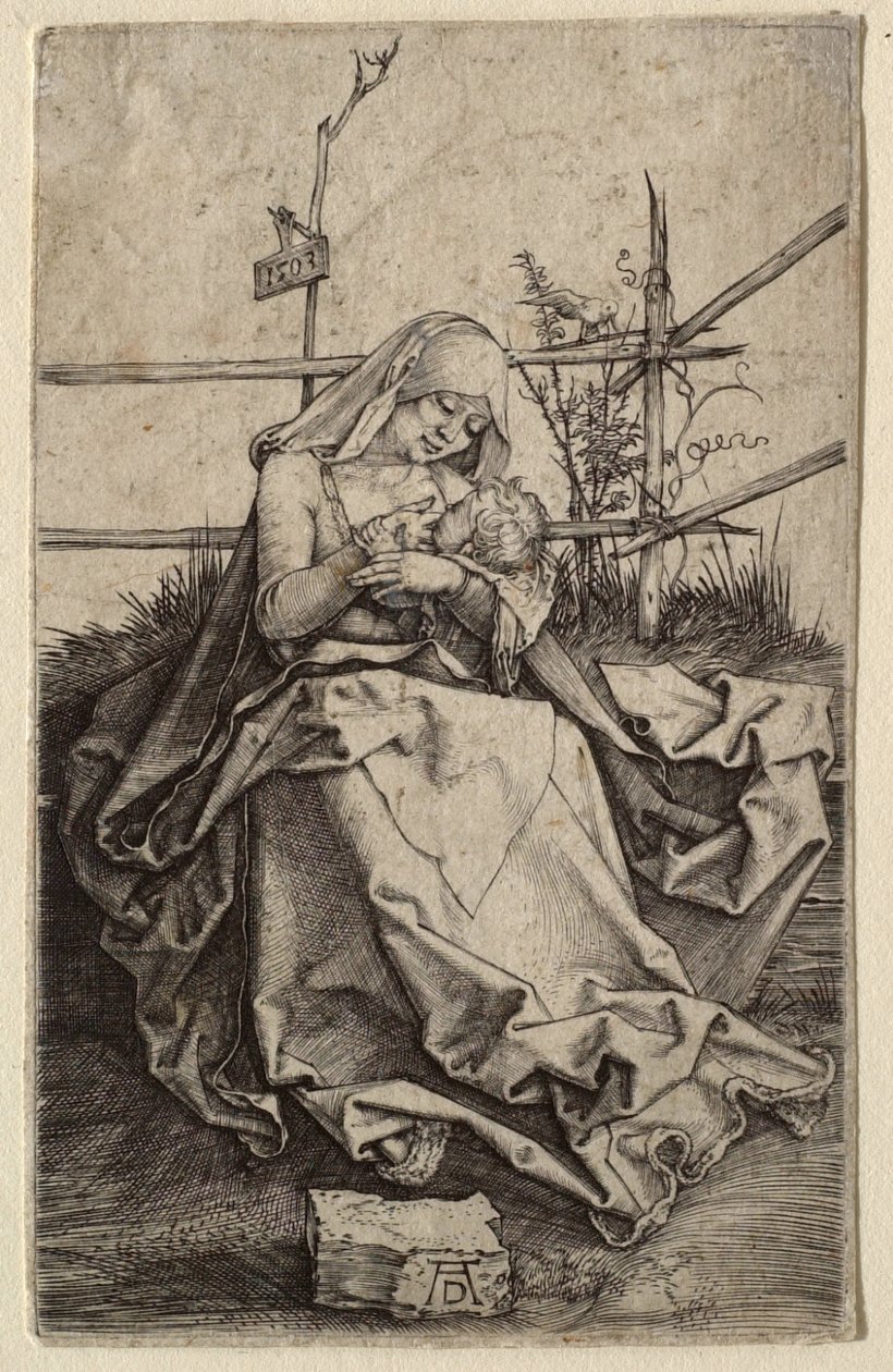 De Maagd met het Kind op een grasbank door Albrecht Dürer