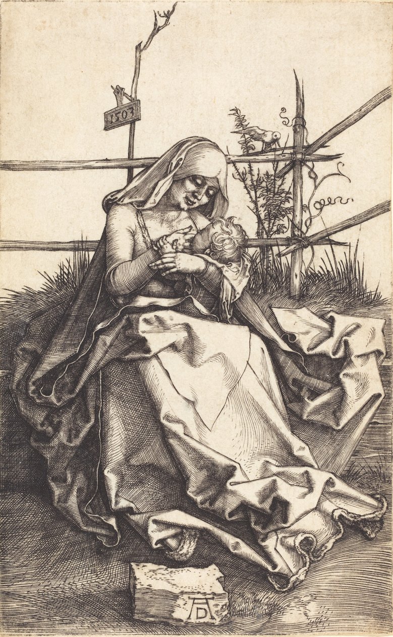 De Maagd en het Kind op een grasbank, 1503 door Albrecht Dürer