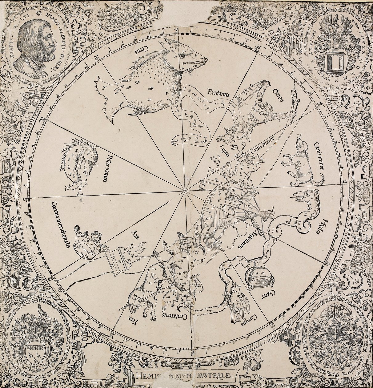 De hemelse kaart van het zuidelijk halfrond door Albrecht Dürer