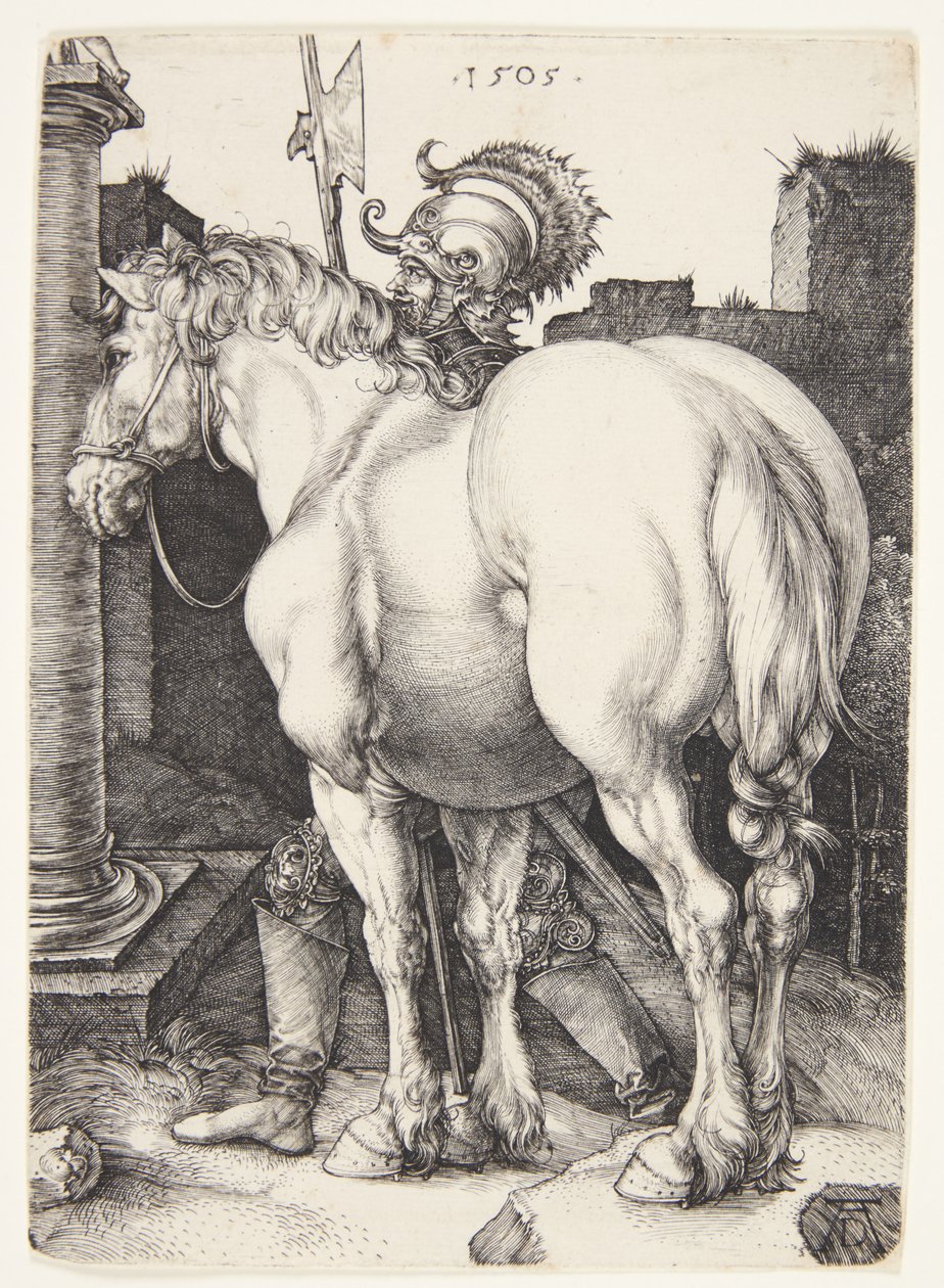 Het grote paard door Albrecht Dürer