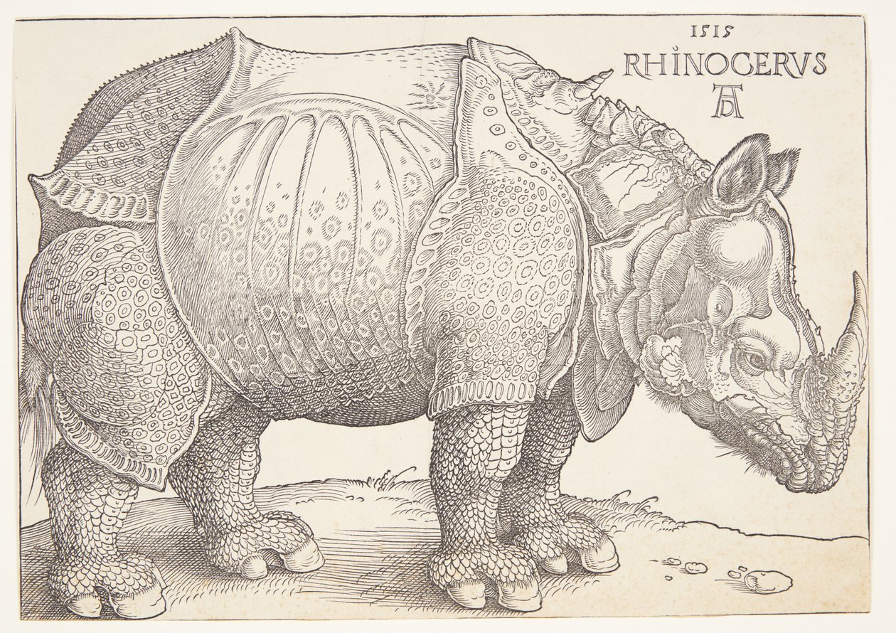 De neushoorn door Albrecht Dürer