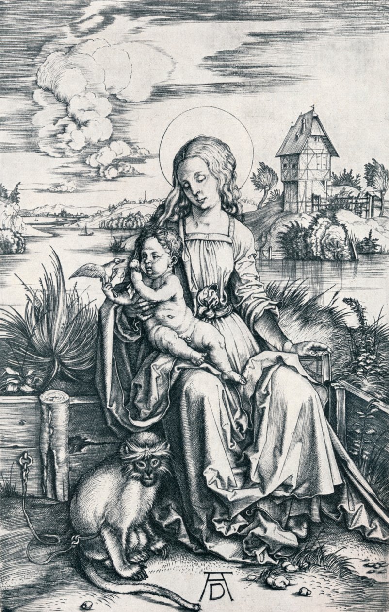 Maagd en kind met een aap door Albrecht Dürer