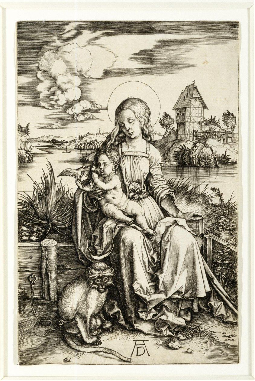 Maagd en kind met de aap door Albrecht Dürer