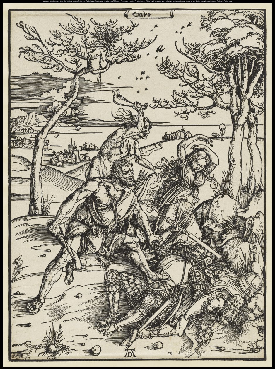  door Albrecht Dürer or Duerer