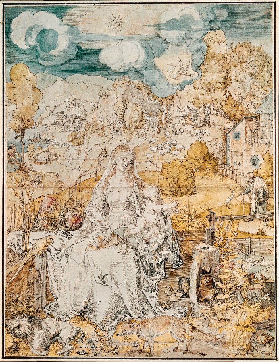 Madonna met een veelheid aan dieren (aquarel, pen en penseel op papier) door Albrecht Dürer or Duerer