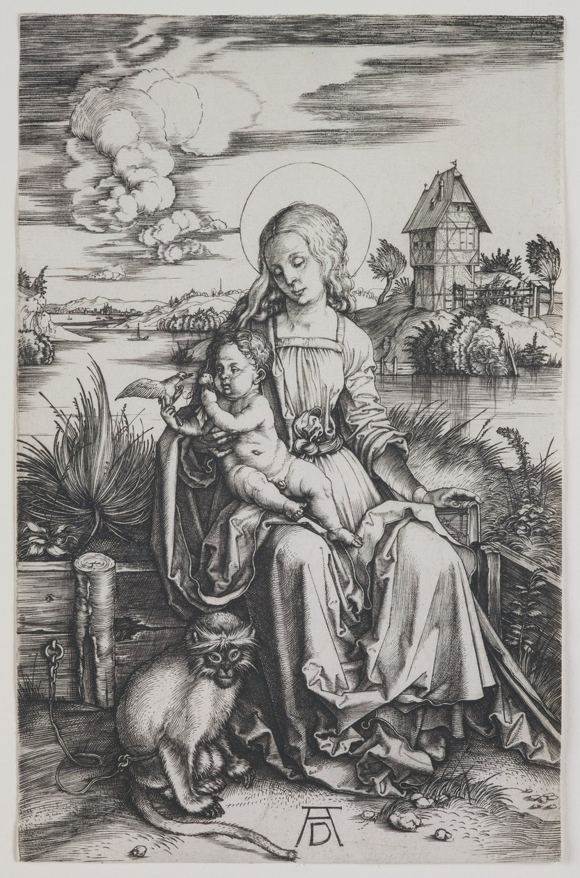 Madonna met de aap, c.1498 (gravure) door Albrecht Dürer or Duerer