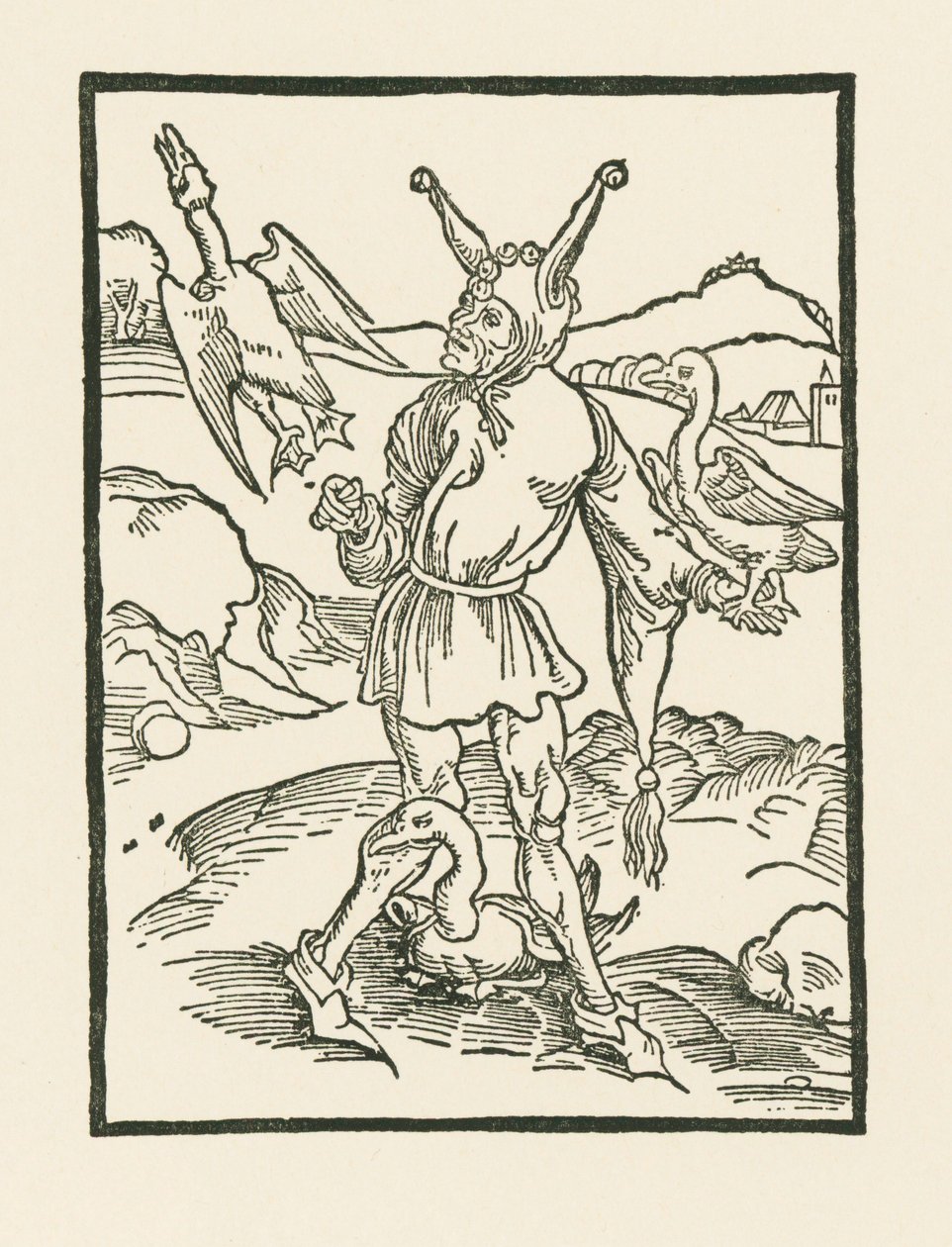 Narr hur als vern door Albrecht Dürer or Duerer